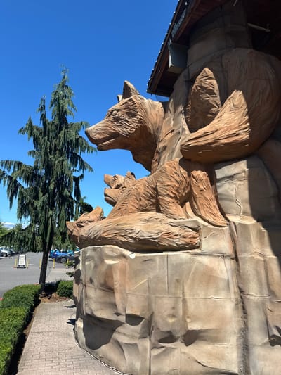 In Grand Mound, Washington, a large, sculpted rock formation featuring three bears is the focal point. The sculpture, made of a material resembling natural stone, depicts an adult bear in the foreground, with two cubs nestled below it. The adult bear's head is turned to the left, its facial features detailed with carved lines. The cubs are positioned to its right, with one cub looking forward and the other slightly to the side. The rock formation itself has a rough, uneven texture, with distinct lines and crevices suggesting natural erosion.
To the left of the sculpture, a tall, wispy coniferous tree stands prominently against a clear, bright blue sky. Its branches cascade downwards, creating a dense, feathery appearance. Beyond the tree, a parking lot is visible, with several cars parked and a white sign with yellow posts. A paved walkway with a brick pattern leads from the foreground towards the sculpture, bordered by neatly trimmed green hedges. The overall environment appears to be an outdoor public space, possibly an entrance to a commercial establishment given the building structure visible above and to the right of the sculpture.