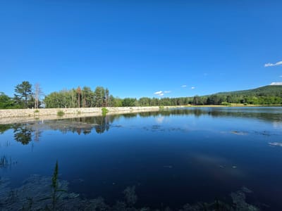 The image depicts a wide, calm body of water, likely a lake or reservoir, under a clear, vibrant blue sky. The water's surface reflects the surrounding trees and the sky, creating a mirror-like effect. Along the far bank, a dense line of various trees, including evergreens and deciduous trees, forms a natural barrier. A stone wall runs along the water's edge in the middle ground, with a path or embankment behind it. The terrain gradually slopes upwards on the right side of the image, covered in lush green trees and vegetation, suggesting a hilly or mountainous landscape. In the foreground, the water is darker, with some aquatic vegetation visible just below the surface and some taller plants emerging from the water. The overall scene is tranquil and natural, suggesting an outdoor recreational area or a natural landscape. This location is identified as being in the city of Osetenovo, Bulgaria. There are no people or animals visible in the image.
