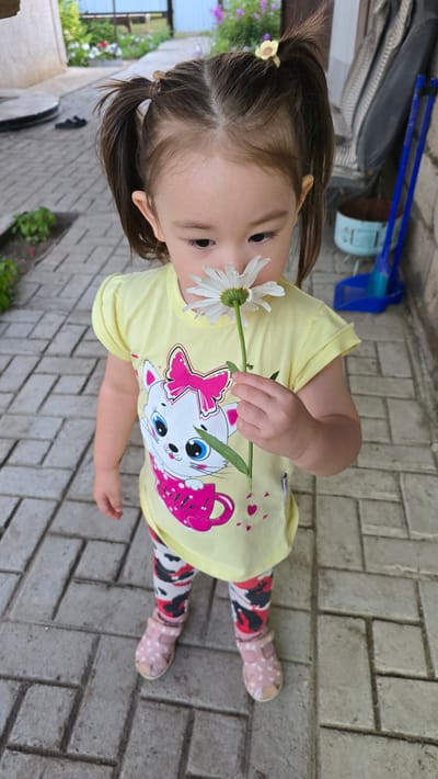 A young girl with dark hair tied in two pigtails, adorned with small yellow flower-shaped clips, is standing outdoors on a paved pathway. She is wearing a yellow t-shirt with a graphic of a white cat wearing a pink bow and holding a pink mug, with the word "Hello!" printed on it. Her legs are covered in patterned leggings featuring black, white, and red splotches, and she is wearing pink sandals. In her right hand, she is holding a white daisy up to her nose, appearing to smell it. The background shows a brick wall and a blue broom and dustpan leaning against it. Green plants are visible to the left of the pathway, and a glimpse of a fence and some purple flowers can be seen in the distance, suggesting a yard or garden area. The setting appears to be a residential area in the city of Krugloozernoe, Kazakhstan.