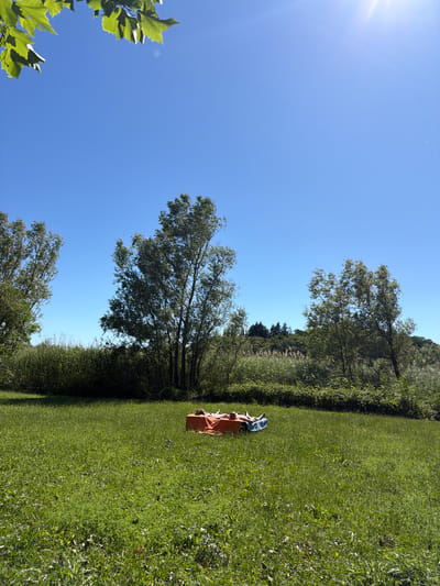 Two people are lying on their backs on an orange blanket spread over a blue mat in a grassy field under a clear blue sky. The scene is located in Pusiano, Italy, with trees and reeds visible in the background.