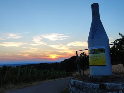An outdoor, wide-angle shot captures a scenic view at dusk, featuring a large, gray, bottle-shaped sculpture positioned prominently in the foreground on the right. The sculpture bears a label with German text and an illustration. Behind the sculpture, a vineyard stretches across a hillside, with rows of grapevines leading towards a distant, hazy landscape. The sky above is a gradient of blue and orange, indicative of a sunset, with wispy clouds scattered across the horizon. A paved path runs through the vineyard, curving towards the left side of the frame. The location is identified as the village of Durbach, near Offenburg, Germany, a region known for its wine production.