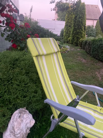 The image depicts a backyard scene in Матыкальскі сельскі Савет, Belarus. A striped green and white lounge chair is prominently positioned in the foreground, angled towards the right. To the left of the chair, a dense green shrub is visible, and in front of that, a weathered stone sculpture, appearing to be a lion's head, rests on the ground. Behind the shrub and to the left, a climbing rose bush with several red blooms is growing against a textured wall. Further back, several tall, conical evergreen trees stand in a row, with a portion of a building with a tiled roof visible behind them. The ground is covered with grass and some loose soil. The sky above is overcast with a pinkish hue, suggesting either dawn, dusk, or a heavily filtered light. No people are present in the image.