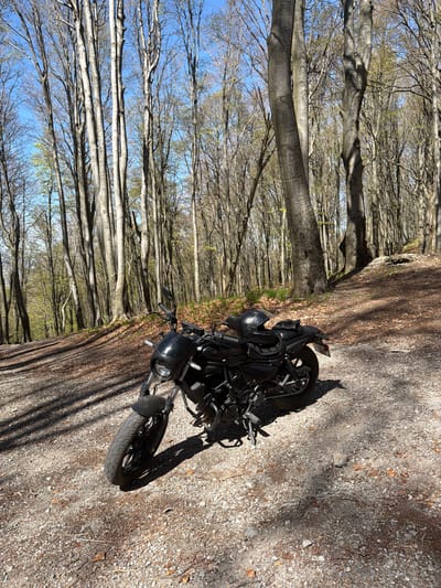 A motorcycle is parked on a gravel road adjacent to a forest. The trees are tall and slender, with bare branches. The sky is visible through the branches and is light blue. The gravel road has a mix of small stones, dry leaves, and dirt. The motorcycle is black and appears to be a cruiser or standard type. There are no visible people in the image. The location is Ichera, Bulgaria.