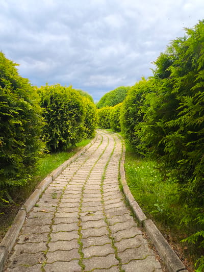 A curved, stone-paved pathway winds through a manicured garden. The pathway is bordered by meticulously trimmed, vibrant green cypress trees that form a lush tunnel. Small patches of green grass and scattered white wildflowers grow along the edges of the path. The sky above is overcast with a thick layer of clouds. The scene is serene and appears to be a well-maintained park or garden area. The location of Ахтимнеево, Russia, is provided as context for the image.
