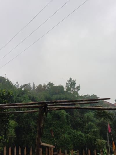 A landscape view features a cloudy sky over a dense, green hillside. In the foreground, a rustic wooden structure with horizontal beams is partially visible. A wooden fence borders the scene. The hillside is covered in various trees, with a few taller pines standing out. Electrical lines stretch across the upper part of the image. The overall atmosphere suggests a rainy or overcast day.