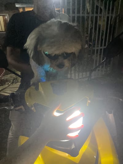 A person's hand is positioned near a bright, circular light source next to a yellow object. Part of a dog with white and black fur is visible on the left side of the frame. The environment includes a partially visible metal grate structure and a blurred background, possibly indicative of an outdoor setting at night. The location is presumed to be in Hijo, Philippines, based on the prompt.