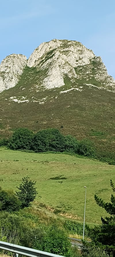 The image depicts a mountain landscape in Ribadesella, Spain. The foreground shows a lush green field with scattered trees and vegetation, including a tall, thin lamppost to the right. A metal barrier is visible at the bottom of the frame. Behind the field, the middle ground features a dense cluster of deciduous trees. The background is dominated by a large, rugged mountain with patches of light-colored rock and dark green vegetation. The sky above is clear and blue. The scene appears to be a natural environment with some signs of human infrastructure, such as the lamppost and barrier.