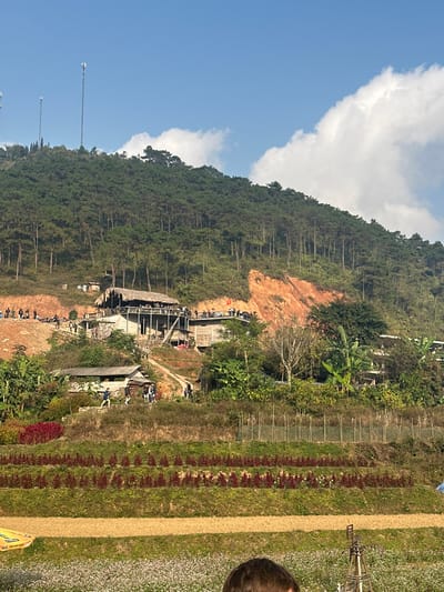 This image depicts a terraced hillside landscape in Minh Tân Commune, Vietnam, under a clear blue sky with scattered cumulus clouds. In the immediate foreground, partially obscured by a head, are cultivated agricultural fields. These fields display distinct rows of white/light purple groundcover, followed by terraced sections with alternating rows of reddish-brown earth and dense red flowering plants. A partially visible yellow sign with Vietnamese text is on the lower left.
The midground features a complex of structures built into the contours of the hillside. The central structure is a multi-level building, constructed from what appears to be concrete and timber, featuring a prominent thatched roof over its uppermost open-air level. Numerous individuals are congregated on this level and on surrounding patios. A red Vietnamese flag with a yellow star is affixed to a pole on the right side of this main structure. Dirt paths and steps connect various smaller, simpler buildings and lead up the slope. A prominent section of exposed, reddish-orange soil is visible on the right side of the main building, indicating a geological cut or past erosion. Vegetation includes tropical plants such as banana trees.
The background is dominated by a steep, densely forested mountain, primarily covered with evergreen trees resembling pines. Three tall, lattice-style communication towers are clearly visible on the mountain's crest against the sky. Approximately 60 individuals are present throughout the scene, primarily observed walking on paths or gathering on the structures' elevated platforms, indicating recreational or public activity.