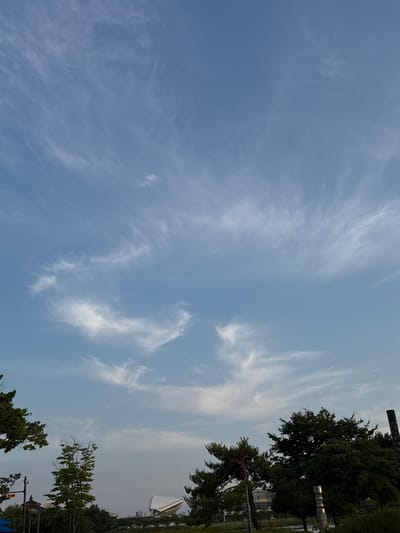 The image captures a wide-angle view of the sky and a park-like area in Ansan, South Korea. The sky is a clear, pale blue, sparsely populated with wispy, white cirrus clouds that appear to be streaking across the upper half of the frame. In the lower portion of the image, various elements of an urban park are visible. On the left, a cluster of green trees, some with dense foliage and others more sparse, are prominent. To the right of these trees, a modern, angular white building with a pointed roof is partially visible behind a line of trees. Further to the right, a variety of evergreen trees, including pine trees with their characteristic needles, form a dense green canopy. Interspersed among the trees are what appear to be urban park fixtures, such as a lamppost on the left and cylindrical decorative elements on the right. The overall impression is of a peaceful outdoor setting within a city.