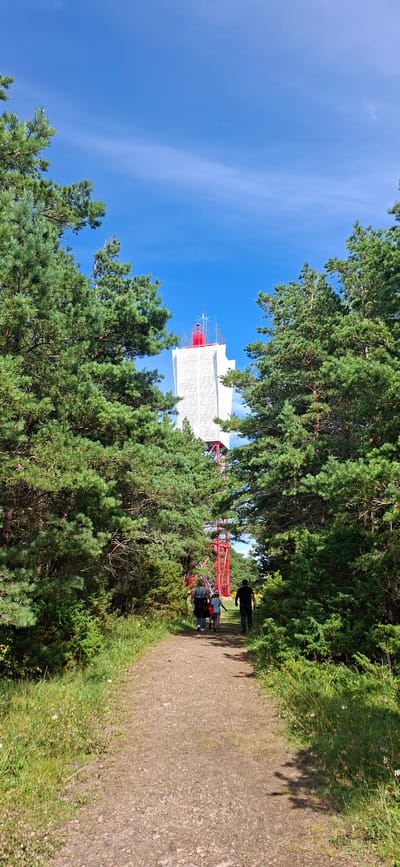 The image shows a view of the Panga Lighthouse on the island of Saaremaa, Estonia. The lighthouse is a tall, white structure with a red top, visible through a gap in a dense forest of pine trees. A dirt path leads through the trees towards the lighthouse. Several people are walking on the path, heading towards the lighthouse. The sky is blue with a few white clouds. The scene appears to be a sunny day.