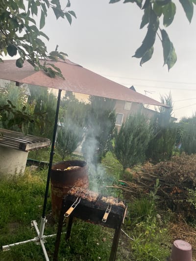 In a rural outdoor setting, possibly in Raslovka 1-Ya, Russia, a barbecue is underway. A metal grill, laden with meat on skewers, is positioned on the ground. Smoke rises from the grill, indicating active cooking. Behind it, a large, rusty metal barrel stands, filled with what appears to be wood and possibly some food items. A dark umbrella is erected over the scene, supported by a white metal stand, providing partial shade. The surrounding environment is overgrown with lush green grass and various trees and bushes, including what seem to be cypress trees. A pile of dried branches and twigs is visible to the right. In the background, a modest house with a brown roof can be seen, along with some overhead power lines and an antenna. The overall atmosphere suggests a casual outdoor gathering or preparation for a meal.