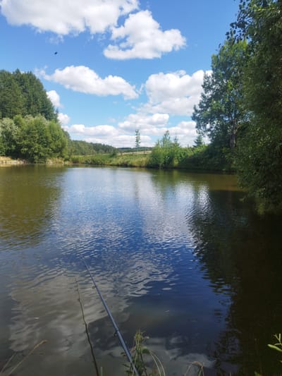 The image depicts a serene natural landscape, likely near Andělská Hora, Czechia, on a bright, sunny day. A calm body of water, appearing to be a pond or lake, dominates the foreground and midground. The water reflects the blue sky and fluffy white clouds scattered above, creating a dappled surface. On the left side of the water, the bank is lined with lush green trees and foliage.
A fishing rod rests on the lower right side of the image, its tip extending towards the water, suggesting an activity taking place. The background features a distant line of trees and hills, with a wooden fence visible in the mid-background, separating the water from the further landscape. The sky is a vibrant blue, punctuated by several white, cumulus clouds. A small, dark object, possibly an insect or a bird in flight, is visible against the sky in the upper left quadrant. The overall impression is one of tranquility and a connection with nature.