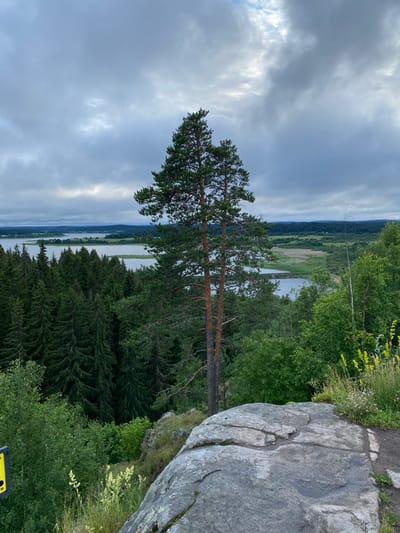 A wide, overcast sky with dramatic clouds dominates the upper portion of the image, creating a muted light. Below the sky, a vast landscape unfolds, featuring a dark green, dense forest of evergreen trees that stretches across the midground. This forest is interrupted by a serene, light-blue lake that winds through the trees and extends towards the horizon. Beyond the lake, the landscape transitions to lighter green fields and scattered trees, suggesting open land with some signs of human settlement. In the foreground, a large, grey, weathered rock formation juts out, providing a vantage point over the scene. Two tall, slender pine trees stand prominently in the center of the frame, with their dark green needles contrasting against the lighter foliage and the sky. The overall atmosphere is one of natural beauty and tranquility, likely captured from a natural viewpoint or park in Khelyulya, Russia, known for its picturesque lakes and forests.
