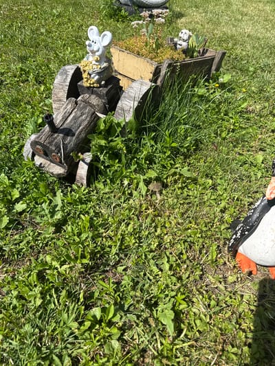An outdoor shot shows a garden decoration made of wood, resembling a small cart or wagon. A white mouse figurine, holding a bag of gold coins, sits on a wooden block, which is positioned on the cart. A small grey dog figurine is also visible, sitting in the cart amongst some plants. The cart is filled with small green and yellow plants. The cart itself is made of rough-hewn, weathered wood and sits on a wooden base, suggesting it is part of a larger garden display. In the lower right corner of the image, part of a black and white penguin figurine with orange feet is visible. The scene is set in a grassy area with patches of sunlight and shadow. The specific location in the city of Belo pole, Bulgaria, is not discernible from the image.