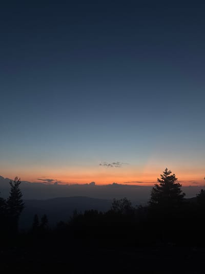 The image depicts a mountainous landscape at dusk, with silhouettes of trees and hills against a gradient sky. The sky transitions from a deep blue at the top to a vibrant orange and pink near the horizon, where clouds are visible. A single ray of light is cutting through the sky. The foreground is dominated by the dark silhouettes of various trees, some tall and pointed, characteristic of pine trees, while others appear as denser foliage. The terrain beneath the trees is dark and indistinct, suggesting it is either night or covered in shadow. The scene is devoid of any human presence or activity. The location is identified as Govedartsi, Bulgaria, a village situated in the Rila Mountains, known for its natural beauty and mountainous terrain, which aligns with the visual elements of the photograph.
