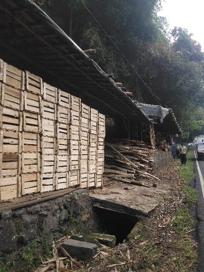 The image depicts a roadside scene in Cijedil, Indonesia. A long, open-sided shelter with a corrugated roof, partially covered by a dark tarpaulin, runs parallel to an asphalt road. Under the left portion of the shelter, a large, rectangular stack of light-colored, uniform wooden crates is horizontally arranged. To the right of the crates, beneath the same structure, a substantial pile of raw timber logs is present.
An open concrete culvert or drainage ditch, approximately one meter wide, runs along the base of the shelter, adjacent to the road. Broken concrete pieces are scattered on the dirt ground near the culvert's opening in the foreground. The immediate roadside features sparse green grass and organic debris.
On the asphalt road, a faded white line is visible. One individual, wearing a light-colored shirt and dark trousers, is walking away from the camera on the far side of the road. A white pickup truck and a blue vehicle are partially visible further down the road.
The background consists of a steep, densely vegetated hillside covered with dark green trees and foliage. Overhead utility wires extend diagonally across the upper portion of the frame. The scene is illuminated by natural daylight.