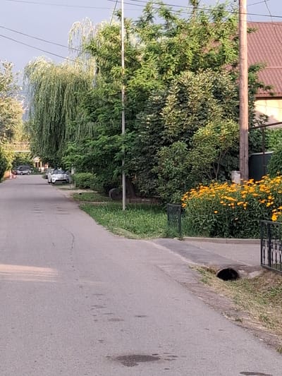 The image shows a residential street in Güldala, Kazakhstan. The street is paved and appears to be in a quiet neighborhood with mature trees lining both sides. A light-colored car is parked on the right side of the road, and a darker SUV is visible further down the street on the left. There are several utility poles along the street. On the right side of the road, a patch of bright yellow flowers is in bloom next to a black metal fence. A storm drain is visible at the edge of the road. The sky is overcast.