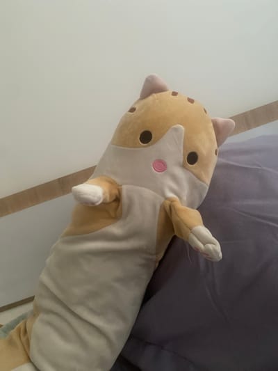A stuffed toy cat lies on a bed with a purple duvet. The cat is mostly white with orange patches and brown spots on its head. It has large black eyes, a pink nose, and pink paw pads. The cat is positioned on its back with its legs extended upwards. The lighting suggests it is daytime, and the presence of a bed indicates an indoor setting, likely a bedroom. There is no visible text in the image.