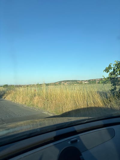 A wide-angle, eye-level shot captured from inside a vehicle shows a rural landscape under a clear, pale blue sky. The foreground is dominated by the dark, textured dashboard of the car, with a faint reflection of the outdoors visible on its surface. To the left, a portion of a paved road is visible, bordered by dry, golden grass that extends into the midground.

Beyond the grass, a sprawling vista unfolds. In the distance, a settlement of houses with red-tiled roofs is nestled on rolling hills. The architecture suggests a Mediterranean or Balkan influence. The landscape appears to be a mix of cultivated fields and natural vegetation. On the far right, a leafy green tree with dark branches partially obscures the view. The overall impression is one of a tranquil, sun-drenched countryside scene, likely on the outskirts of Kableshkovo, Bulgaria, given the visual cues of rural architecture and vegetation common to the region. There are no people or discernible actions depicted in the image.