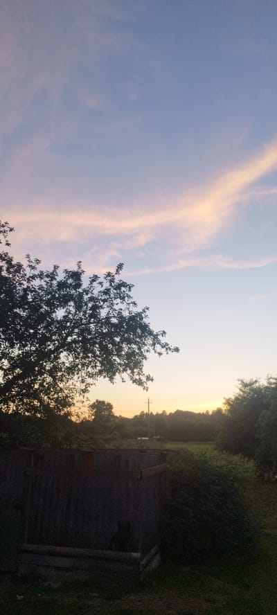 This image captures a serene outdoor scene at dusk. The sky displays a gradient of soft blues and pinks, with wispy clouds catching the last light of the setting sun. Silhouetted against the colorful sky is a large tree with lush foliage in the foreground on the left. Below the tree, a wooden fence or structure runs horizontally across the lower portion of the image.
In the middle ground, a treeline is visible, with subtle hints of a warm, golden glow from the sunset peeking through. A single utility pole stands tall among the trees, indicating a rural or semi-rural setting. The overall atmosphere is peaceful and tranquil, suggesting the end of a day in a natural environment.
The image does not contain any visible text. The time of day is clearly evening, as indicated by the sunset colors in the sky and the subdued lighting on the landscape. The location context of Сінькоўскі сельскі Савет, Belarus, places this scene within a specific geographical region. No people are visible, and the primary subjects are the natural landscape and the man-made structures.
