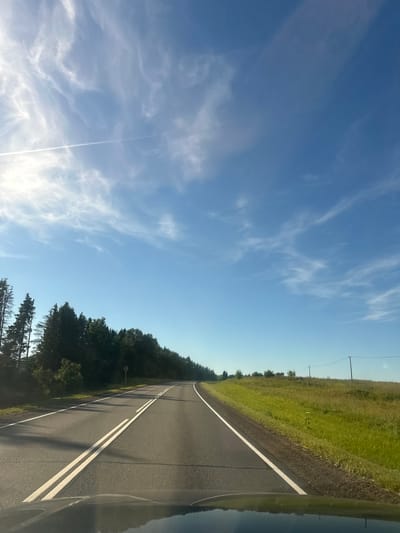 The image shows a view from a vehicle driving on a paved road in Zhabino, Russia. The road has double white lines in the center and a single white line on the right side. On the left side of the road, there is a dense line of dark green trees. To the right of the road, there is a grassy field with a few scattered trees and utility poles. The sky is a clear blue with some wispy white clouds and a contrail from an aircraft. The sun is shining brightly, casting shadows on the road. The foreground shows the hood of the vehicle the photo is being taken from.