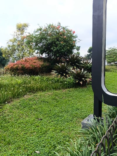 A vibrant garden scene showcases lush greenery and diverse plant life. Green grass covers the foreground, transitioning into a meadow filled with small white flowers. Behind, a reddish-orange bush and a tree with orange blooms add color. Three large bromeliad plants stand out. A black metal structure with a mirrored surface partially frames the scene on the right. The sky is overcast, suggesting a soft, diffused light across the landscape.