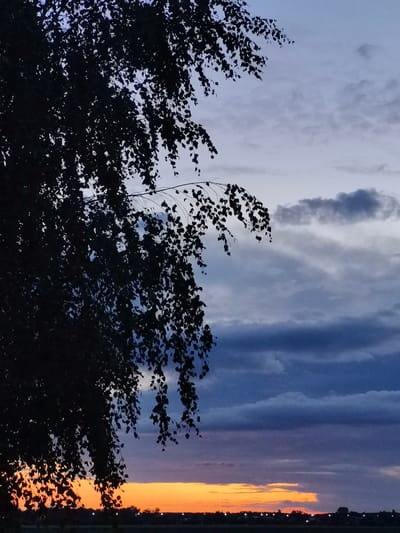 This is a vertical, outdoor, medium-shot photograph taken during twilight in Pinsk, Belarus. The image is dominated by the silhouette of a tree with dark leaves and branches filling the left side and upper portion of the frame. The background features a dramatic sky with swirling clouds. The lower portion of the sky displays a vibrant gradient of orange and yellow, indicative of a sunset, transitioning to darker blues and purples higher up. A faint, dark horizon line suggests a landscape with some indistinct structures or lights, possibly indicating a rural or semi-urban setting. There are no people or animals visible in the image, and the focus is on the natural elements of the tree and the sky. The overall mood is serene and atmospheric.