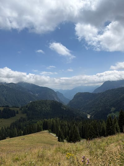 The image depicts a panoramic view of a mountainous landscape under a partly cloudy sky. In the foreground, a grassy hillside is dotted with wildflowers and dry grasses, sloping down towards a dense forest. A winding road is visible traversing the hillside and disappearing into the trees. The midground is dominated by a vast expanse of dark green coniferous forest, covering rolling hills and the slopes of larger mountains. In the background, layers of mountains recede into the distance, with some peaks shrouded in clouds. The sky is a vibrant blue, with scattered white and gray clouds, some of which are large and cumulus. The scene suggests a natural, undeveloped environment. The metadata indicates the image was taken in Raveo/Raviei, Italy, which is a mountainous region. There are no people or animals visible in the image.