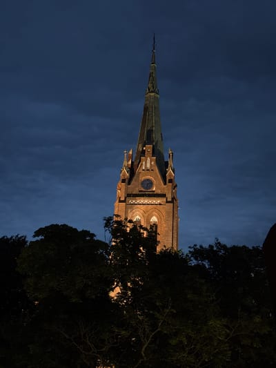 A brick church tower is illuminated against a dark blue sky filled with clouds. The tower has a tall, pointed spire, a round clock face, and arched windows. Trees with dark green foliage are in the foreground, obscuring the base of the tower. The scene is set at dusk. This is the Evangelical Lutheran Church of the Assumption of the Holy Virgin Mary in Palanga, Lithuania.