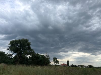 The image depicts an outdoor scene in Serebryakovka, Russia, under a heavily overcast sky. The weather appears to be stormy, with dark, dramatic clouds filling the upper half of the frame. In the foreground, tall, dry grass with some scattered wildflowers grows in a field. Behind the field, a line of dense trees, predominantly deciduous, forms a dark green barrier across the middle ground.
To the right of the trees, several rural buildings are visible, including houses with red roofs and white walls, and some other structures that appear to be smaller outbuildings or sheds. A tall, slender coniferous tree stands prominently to the right of one of the houses, and another similar tree is visible further in the distance. The overall impression is one of a rural landscape on the verge of a storm, with a sense of impending weather. The time of day is difficult to ascertain precisely due to the cloud cover, but the muted light suggests it is either early morning or late afternoon. There is no visible text in the image. The scene evokes a somber or dramatic mood due to the heavy clouds.