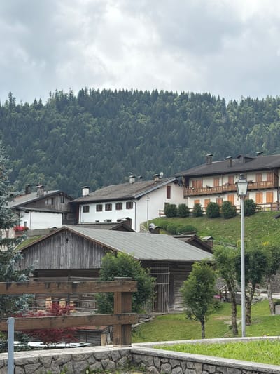 The image shows a view of Sauris di Sopra / Plozn / Sauris Disore, Italy, featuring traditional wooden buildings with peaked roofs and balconies. A dense, green forest covers the background hills. In the foreground, there is a stone wall, a wooden fence, and some trees. A street lamp is also visible. The sky is overcast with clouds.