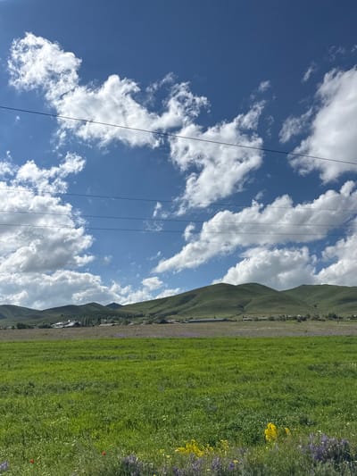 The image depicts a landscape with rolling green hills under a bright blue sky dotted with white, puffy clouds. Several dark wires are visible, stretched horizontally across the frame, suggesting the presence of electrical or telephone lines. The foreground on the right is a lush, green meadow interspersed with small, colorful wildflowers, including yellow and purple blooms, and a few red dots that appear to be poppies. In the middle ground, the green hills rise gradually, with some hints of structures or buildings along their base. The background features more distant, larger hills or mountains. The lighting suggests it is daytime, likely sunny with some cloud cover. The scene evokes a sense of natural beauty and rural tranquility. There is no visible text in the image.