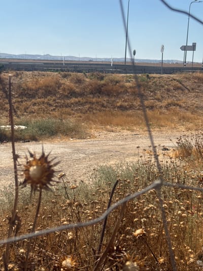 The media file depicts an outdoor scene, likely in a dry, arid region, given the prevalence of dry grasses and thorny plants. In the foreground, out-of-focus thorny seed heads are prominent, with one particularly spiky head taking center stage. These plants suggest a dry, perhaps late summer or autumn season.

In the mid-ground, a dirt path or road runs horizontally across the frame, bordered by dry, brown vegetation. Beyond the path, a clear blue sky dominates the upper left portion of the image. A series of tall, slender poles, likely streetlights or utility poles, are visible along the edge of the road, suggesting proximity to a developed area, possibly a highway or a more urbanized zone. Further in the distance, a range of hills or mountains can be seen against the horizon, with a lighter haze indicating atmospheric conditions or distance.

The overall impression is one of a rural or semi-rural landscape, characterized by arid conditions and infrastructure. The lighting suggests it is daytime, likely sunny, with a clear sky. There is no visible text in the image. The scene conveys a sense of quiet stillness, with the focus on the natural elements and the encroaching infrastructure. The inclusion of the fence wires in the foreground, also out of focus, adds a layer of perspective, suggesting the viewer is observing the scene through a barrier. The Bnei Shimon Regional Council, Israel, is a region known for its arid landscapes and development alongside natural terrain, which aligns with the visual cues in the image.