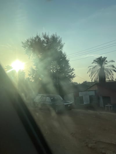 A roadside view with a bright sun, filtered through trees, dominates the lower half of the frame. A tall palm tree stands near a building constructed from corrugated metal sheets. Power lines stretch across the sky. The perspective is from inside a vehicle, evidenced by the dashboard's edge in the foreground, lending a sense of travel through a rural or developing area.