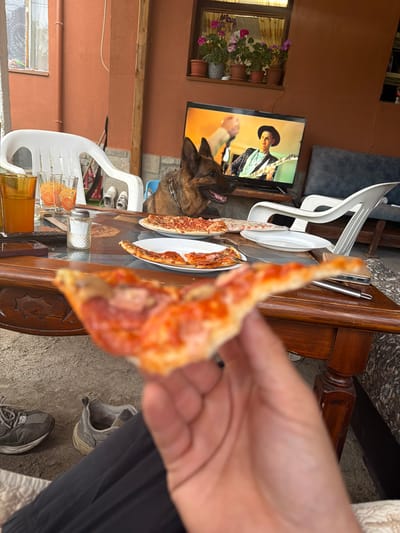 In Golyam Chardak, Bulgaria, a German Shepherd sits beside a television displaying a musician. A wooden table in the foreground holds two pizzas on plates, drinks, and a salt shaker. A hand is holding up a slice of pizza, obscuring the view of the rest of the scene, which includes outdoor seating and a building with an orange facade.
