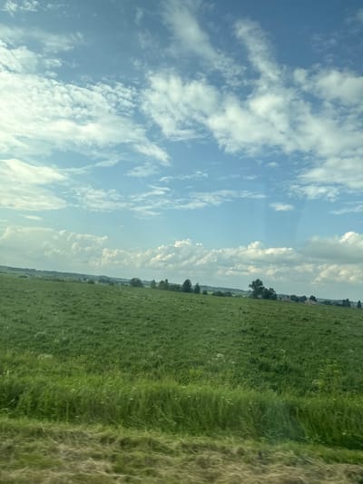 The image depicts a vast, rolling green field under a bright blue sky dotted with white, fluffy clouds. The foreground features a strip of dry, yellowish grass, indicating a roadside or a transition zone. The middle ground is dominated by an expanse of lush green grass, with some areas appearing more textured and uneven, suggesting natural growth and possibly wildflowers. In the distance, a line of trees and some scattered buildings can be observed, hinting at a rural landscape. The sky occupies the upper half of the image, with a dynamic arrangement of cumulus clouds that create shadows and highlights on the field below. The overall impression is one of a serene, rural setting. This scene could be located in the vicinity of Retneva, Russia, given its characteristic agricultural landscapes and open skies.