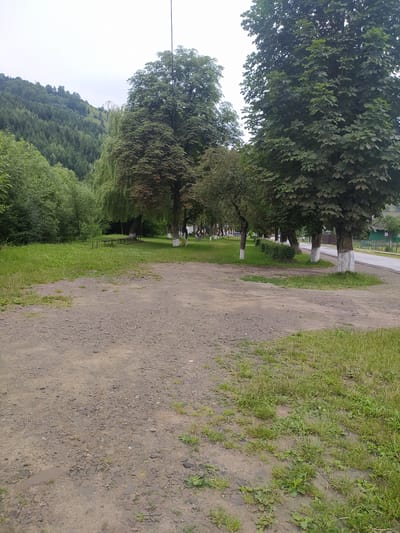The image depicts a natural, outdoor scene in Bohdan, Ukraine. In the foreground, a rough, gravelly area transitions into a grassy patch with sparse vegetation and some puddles. Beyond this, a line of trees with white-painted bases runs along a paved road. Behind the trees, a green lawn with several wooden picnic tables is visible. Further in the background, a dense forest covers a rolling hill under a cloudy sky. The overall impression is one of a semi-rural or park-like setting.