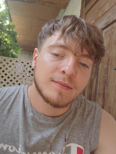 This is a close-up, eye-level selfie of a young man with light brown hair and a light beard. He is wearing a sleeveless gray t-shirt with a gold chain and a cross pendant. His right eye is looking directly at the camera, while his left eye is partially closed. The background is slightly out of focus, but shows a wooden door and some greenery, suggesting an outdoor setting. The lighting indicates it is daytime. The man's expression is relaxed and he appears to be smiling faintly. Visible text on the t-shirt is a partial logo for "Champion". The location is specified as Arad, Romania.