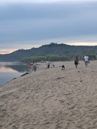 This image captures a beach scene on a cloudy day along a riverbank, possibly in or near the village of Malaya Sazanka, Russia, given the context provided. The foreground is dominated by a sandy beach with ripples and tracks from footprints. In the mid-ground, several people are scattered across the beach. A man and woman are walking towards the right, with the man in a white t-shirt and blue shorts, and the woman in a black top and shorts. A black and white dog is running ahead of them. Further to the left, a group of people are standing near a red boat on the water's edge. One person is wearing a camouflage outfit. A child is standing near the water. In the background, a heavily wooded hill rises from the opposite bank of the wide, calm river, which reflects the overcast sky. Trees and some structures are visible along the distant shoreline. The overall atmosphere is relaxed, suggesting a recreational outing.