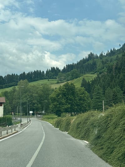 The image shows a paved road curving through a rural, mountainous landscape. On the left, a white and brown building with a red-tiled roof is partially visible, along with a wooden guardrail. Several streetlights and utility poles line the side of the road. A dense, green hedge borders the right side of the road. In the background, a lush green hillside rises, covered with a mix of deciduous trees, coniferous trees, and grassy areas. The sky is partly cloudy with a pale blue hue. The scene depicts a serene, natural environment in what appears to be a village or countryside setting. Based on the context provided, this scene is located in Borno, Italy.