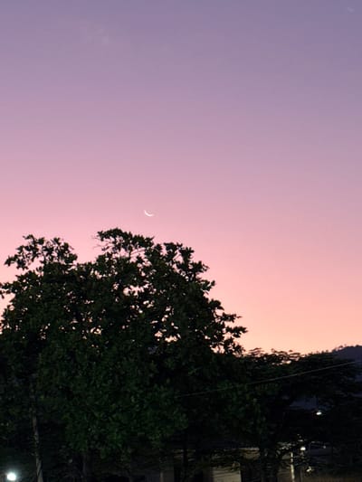 The image depicts an outdoor twilight scene in Timaná, Colombia. The sky exhibits a gradient of color, transitioning from light purple at the top to pink and orange hues towards the horizon. A thin, white crescent moon is visible in the upper sky, slightly left of center. The lower two-thirds of the frame are dominated by dense, dark green tree foliage. A large tree occupies the left and central-lower portion, with additional lower vegetation extending to the right. A partially visible circular artificial light source is located at the bottom left. A faint horizontal line, consistent with a power line, traverses the lower right. Dark, undulating silhouettes of distant hills or mountains are visible in the far background on the right. No human figures, animals, or specific activities are observed.