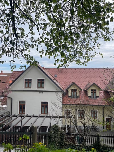 The image shows buildings in Skofja Loka, Slovenia. A white building with a steeply pitched roof and brown-framed windows is prominent. Adjacent to it is a taller, yellow building with a red-tiled roof and similar windows. A black metal fence runs along the side of the white building, with some vegetation growing on and near it. A tree with light green leaves occupies the left side of the frame, partially obscuring the sky, which is light blue with wispy clouds. A pink-blossomed tree is visible at the base of the white building. A set of stairs leads up to the white building. A bicycle is parked next to the fence along the taller building.