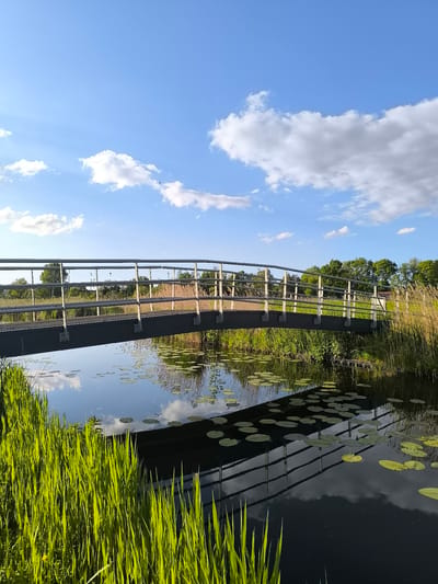 A daytime outdoor shot showcases a small bridge in Oudorp, Netherlands, spanning a body of water. The bridge is constructed with a dark grey walkway and light-colored wooden railings. Tall, green grasses line the left bank of the water, while reeds and other vegetation are visible on the opposite bank. Lily pads float on the surface of the water, which reflects the bridge, sky, and clouds. The sky is blue with scattered white clouds. The location is Oudorp, Netherlands.