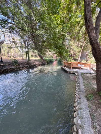An eye-level, medium shot captures a tranquil river flowing through a park-like setting. The water, a muted blue-green, moves gently, its surface rippled. On the right bank, a wooden platform juts into the river, featuring an ornately carved wooden seating area, resembling a low, open-air bed with intricate latticework. The platform is bordered by a pathway and a stone retaining wall. Lush green trees with dense foliage overhang the scene, their branches casting dappled shadows on the water and ground. The left bank is lined with a stone wall, beyond which lies a sandy area with scattered trees and undergrowth. In the distance, a cluster of slender trees creates a backdrop. The overall impression is one of peaceful, natural beauty, suggestive of a serene outdoor recreational space. This scene is located in the city of Eskikurgan, Uzbekistan.