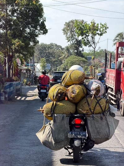In Pagedangan, Indonesia, a motorcycle loaded with jackfruit drives on a paved road. The motorcycle, a Honda with license plate N 6771 EAK, is ridden by a person wearing a red shirt and blue shorts, with a black helmet. The jackfruit is piled high on the back of the motorcycle, secured with ropes and straps. Large canvas bags are attached to the sides of the motorcycle, also appearing to be carrying goods. In the background, there are buildings, trees, power lines, and other vehicles, including a red truck and a black car. The sun is shining, casting shadows on the road.