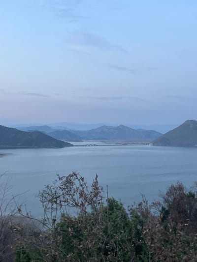 The image depicts a panoramic landscape overlooking a large body of water, presumably Skadar Lake, from an elevated vantage point in the city of Godinje, Montenegro, during twilight. The upper half of the frame features a pale blue sky with faint pinkish hues along the horizon and scattered, wispy clouds. Below the sky, multiple layers of mountains and hills appear in varying shades of dark blue and grey, receding into the distance. The central and mid-ground is dominated by a vast, calm expanse of water, reflecting the subdued sky tones. A long, multi-arched bridge or causeway spans the water in the mid-distance, connecting two landmasses. On the left, a dark, tree-covered peninsula extends into the water. The immediate foreground consists of the tops of various trees and shrubs, some displaying sparse, dry brown leaves, while others retain dark green foliage, partially framing the view. No individuals, animals, or specific human activities are visible within the frame, aside from the infrastructure of the bridge.