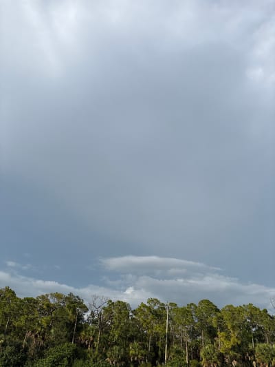 The image captures a view of a treeline against a cloudy sky. The treeline, composed of various evergreen trees and palm trees, stretches horizontally across the lower portion of the frame. Power lines are visible running horizontally above the treeline. The sky is predominantly filled with large, gray clouds, with some lighter patches suggesting breaks in the cloud cover or thinner cloud formations. The scene appears to be an outdoor environment, possibly a roadside or natural area on the outskirts of the city of Venice, United States. No people or specific actions are depicted.