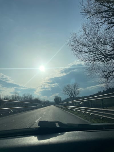 The image presents a forward-facing view from inside a vehicle traveling on a straight two-lane asphalt road in Monteroni d'Arbia, Italy. The lower portion of the frame shows the dark dashboard and the base of a windshield wiper. The road extends into the distance, flanked on both sides by metal guardrails consisting of multiple horizontal bars. Beyond the guardrails, grassy verges transition into terrain populated by numerous bare deciduous trees, suggesting a winter or early spring season. A prominent, solitary bare tree is visible on a gentle hill to the right of the road in the mid-ground, with distant hills or elevated land present on the horizon. The sky is largely clear blue with scattered white cumulus clouds, particularly concentrated along the mid-horizon. The sun, appearing as a bright white orb, is positioned in the upper-left quadrant of the sky, producing a distinct, cross-shaped lens flare. A faint silhouette of a vehicle is discernible in the far distance on the road.