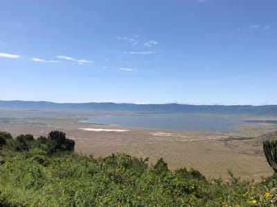 The image shows a panoramic view of the Ngorongoro Crater in Tanzania, taken from the crater rim. The crater floor is visible in the distance, with a large body of water, likely Lake Magadi, in the center. The foreground features lush vegetation, while the surrounding landscape is characterized by dry grassland. The sky is clear and blue, with only a few wispy clouds. The coordinates given place the location at a point on the crater rim.