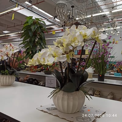 An interior view of a retail store displays artificial floral arrangements and chandeliers on the ceiling. In the foreground, a white ceramic vase holds a cluster of white orchids with red accents, placed on a white tabletop. To the right, another white orchid arrangement is visible in a similar vase. Behind the orchids, a person is partially visible, reaching towards a counter. The background reveals shelves stocked with various items, including shoes and decorative elements. The store environment suggests a lighting or home decor section, with numerous hanging light fixtures overhead. A digital timestamp "24.07.2026 10:44" is superimposed on the lower right portion of the image. The location is identified as Modugno, Italy.